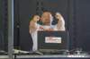 hogrock_2020_1547_small.jpg