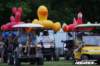 hogrock_2020_1639_small.jpg