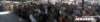 hogrock_2020_1799_small.jpg