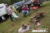 hogrock20200686_small.jpg