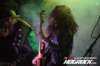 hogrock20201163_small.jpg
